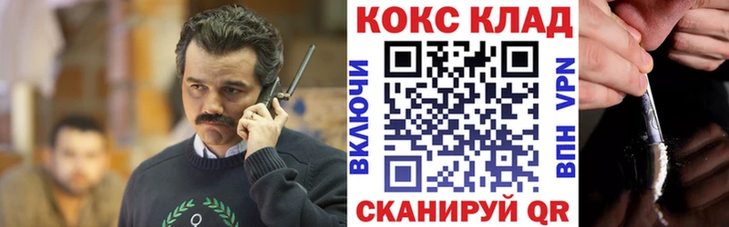 COCAIN FishScale  купить закладку  Шахунья 