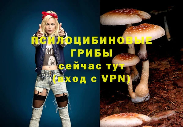 молекула духа Зеленодольск