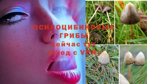 молекула духа Зеленодольск